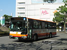 岐阜200か・243